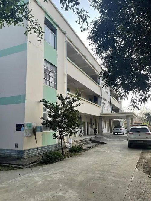 崇左扶綏縣一個工廠拍賣,被大企業(yè)以起拍價1461萬拿下