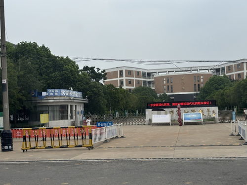 煙花萬元迎新校長，是尊師重道還是風氣跑偏？